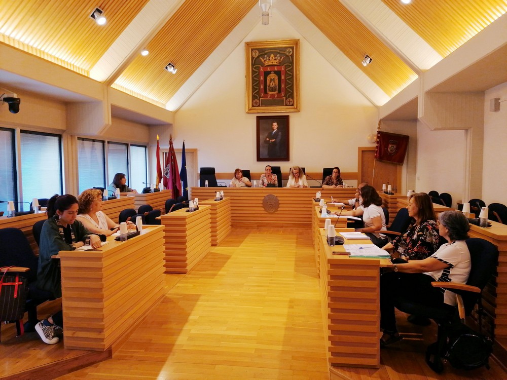 Consejo Local de la Mujer de Ciudad Real 