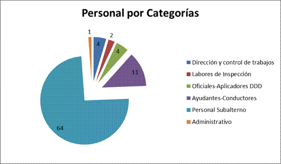 Personal por categorías