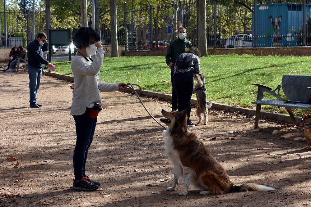 Extracción déficit Exceder Training canino”: un taller para entender y saber comunicarse correctamente  con los perros